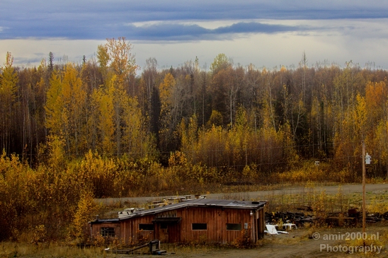 Alaska_landscape_nature_fall_autumn_Usa_Photography_138_Canon_EOS_5D_Mark_IV.JPG