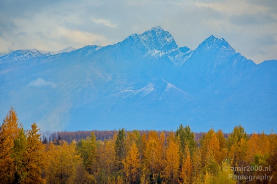 Alaska_landscape_nature_fall_autumn_Usa_Photography_146_Canon_EOS_5D_Mark_IV.JPG