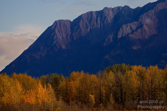 Alaska_landscape_nature_fall_autumn_Usa_Photography_159_Canon_EOS_5D_Mark_IV.JPG