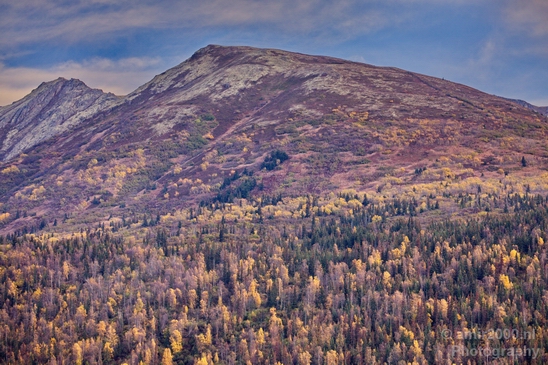 Alaska_landscape_nature_fall_autumn_Usa_Photography_177_Canon_EOS_5D_Mark_IV.JPG