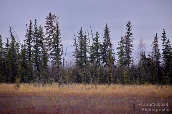 Alaska_landscape_nature_fall_autumn_Usa_Photography_188_Canon_EOS_5D_Mark_IV.JPG
