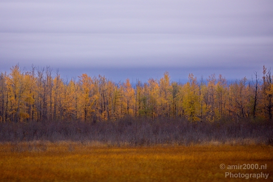 Alaska_landscape_nature_fall_autumn_Usa_Photography_192_Canon_EOS_5D_Mark_IV.JPG