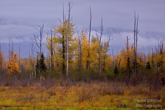 Alaska_landscape_nature_fall_autumn_Usa_Photography_195_Canon_EOS_5D_Mark_IV.JPG