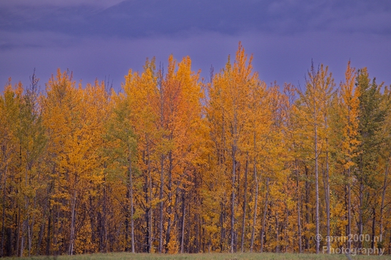 Alaska_landscape_nature_fall_autumn_Usa_Photography_196_Canon_EOS_5D_Mark_IV.JPG