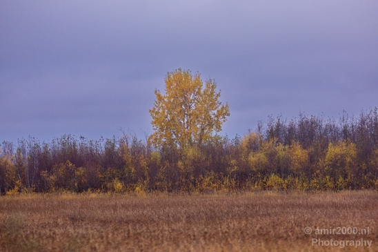 Alaska_landscape_nature_fall_autumn_Usa_Photography_198_Canon_EOS_5D_Mark_IV.JPG