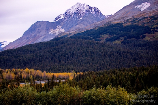 Alaska_landscape_nature_fall_autumn_Usa_Photography_202_Canon_EOS_5D_Mark_IV.JPG