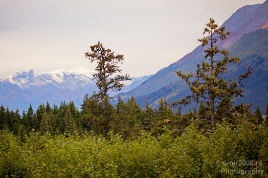 Alaska_landscape_nature_fall_autumn_Usa_Photography_204_Canon_EOS_5D_Mark_IV.JPG