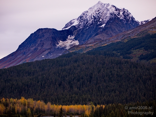Alaska_landscape_nature_fall_autumn_Usa_Photography_205_Canon_EOS_5D_Mark_IV.JPG