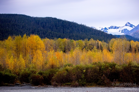 Alaska_landscape_nature_fall_autumn_Usa_Photography_208_Canon_EOS_5D_Mark_IV.JPG