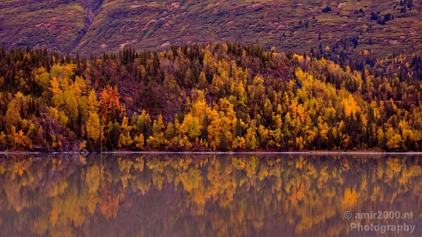 Alaska_landscape_nature_fall_autumn_Usa_Photography_216_Canon_EOS_5D_Mark_IV.JPG