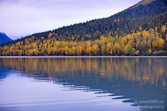 Alaska_landscape_nature_fall_autumn_Usa_Photography_220_Canon_EOS_5D_Mark_IV.JPG