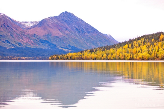 Alaska_landscape_nature_fall_autumn_Usa_Photography_221_Canon_EOS_5D_Mark_IV.JPG