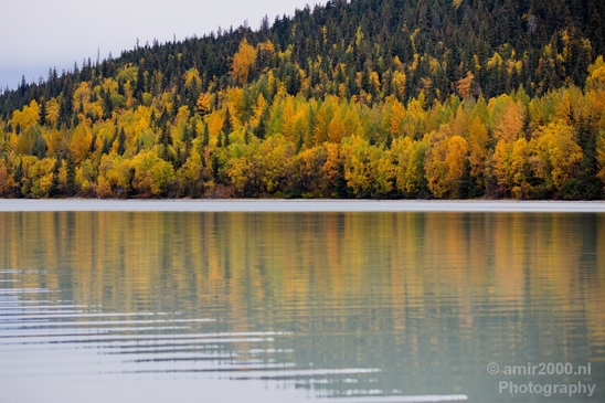 Alaska_landscape_nature_fall_autumn_Usa_Photography_225_Canon_EOS_5D_Mark_IV.JPG