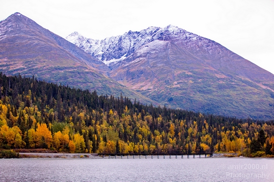 Alaska_landscape_nature_fall_autumn_Usa_Photography_226_Canon_EOS_5D_Mark_IV.JPG