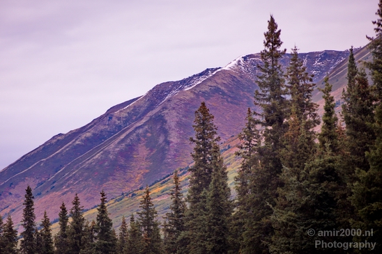 Alaska_landscape_nature_fall_autumn_Usa_Photography_227_Canon_EOS_5D_Mark_IV.JPG
