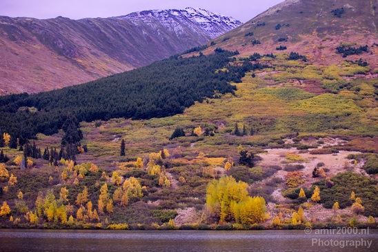 Alaska_landscape_nature_fall_autumn_Usa_Photography_229_Canon_EOS_5D_Mark_IV.JPG