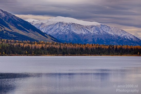 Alaska_landscape_nature_fall_autumn_Usa_Photography_230_Canon_EOS_5D_Mark_IV.JPG