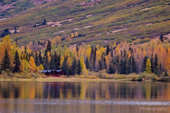 Alaska_landscape_nature_fall_autumn_Usa_Photography_231_Canon_EOS_5D_Mark_IV.JPG