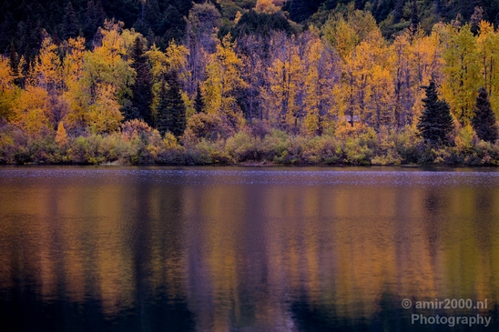 Alaska_landscape_nature_fall_autumn_Usa_Photography_232_Canon_EOS_5D_Mark_IV.JPG