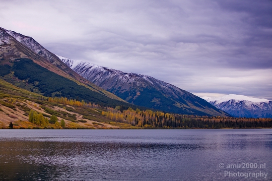 Alaska_landscape_nature_fall_autumn_Usa_Photography_233_Canon_EOS_5D_Mark_IV.JPG