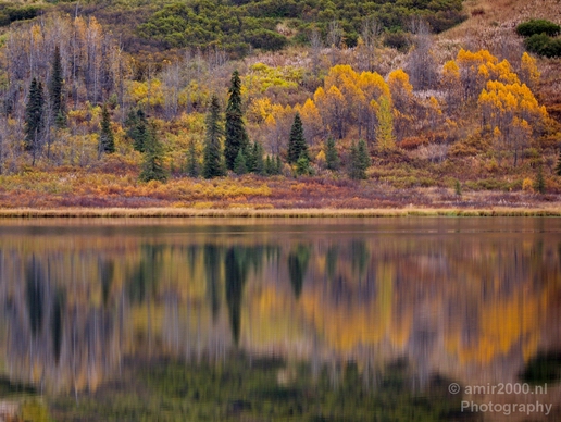 Alaska_landscape_nature_fall_autumn_Usa_Photography_236_Canon_EOS_5D_Mark_IV.JPG