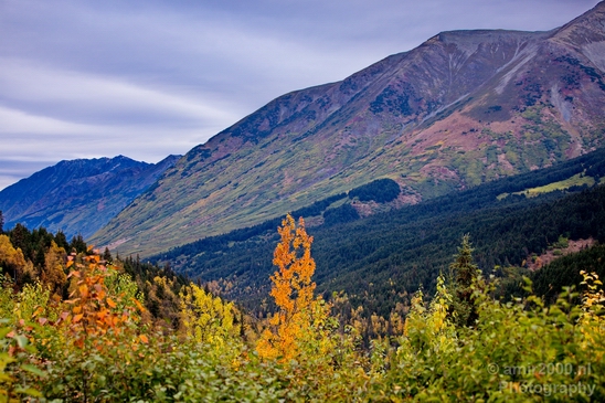 Alaska_landscape_nature_fall_autumn_Usa_Photography_238_Canon_EOS_5D_Mark_IV.JPG
