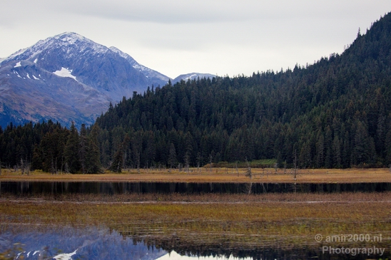 Alaska_landscape_nature_fall_autumn_Usa_Photography_241_Canon_EOS_5D_Mark_IV.JPG