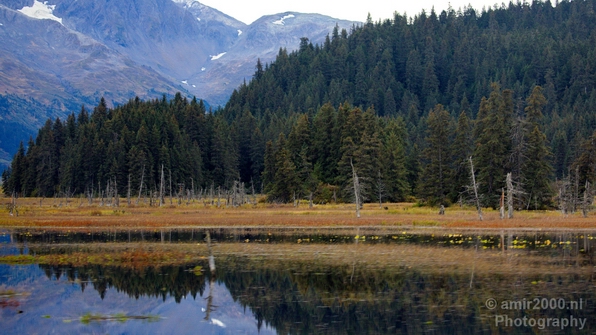 Alaska_landscape_nature_fall_autumn_Usa_Photography_242_Canon_EOS_5D_Mark_IV.JPG