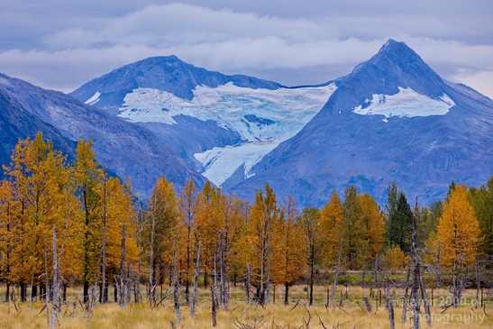 Alaska_landscape_nature_fall_autumn_Usa_Photography_243_Canon_EOS_5D_Mark_IV.JPG