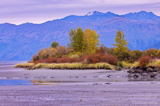 Alaska_landscape_nature_fall_autumn_Usa_Photography_245_Canon_EOS_5D_Mark_IV.JPG