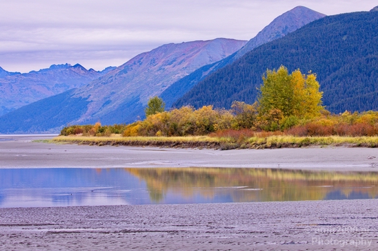 Alaska_landscape_nature_fall_autumn_Usa_Photography_246_Canon_EOS_5D_Mark_IV.JPG