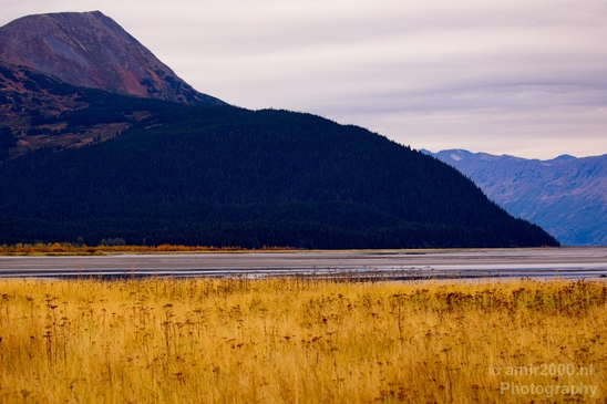 Alaska_landscape_nature_fall_autumn_Usa_Photography_247_Canon_EOS_5D_Mark_IV.JPG