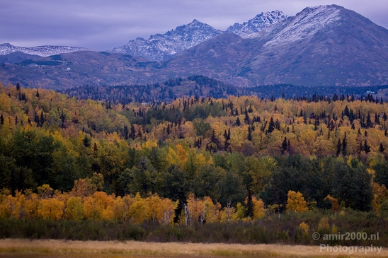 Alaska_landscape_nature_fall_autumn_Usa_Photography_254_Canon_EOS_5D_Mark_IV.JPG