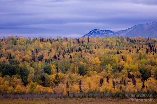 Alaska_landscape_nature_fall_autumn_Usa_Photography_255_Canon_EOS_5D_Mark_IV.JPG