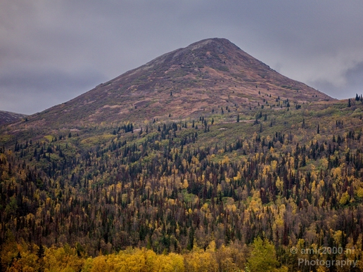 Alaska_landscape_nature_fall_autumn_Usa_Photography_256_Canon_EOS_5D_Mark_IV.JPG