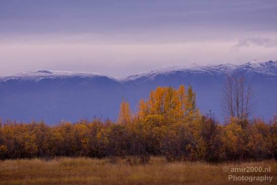 Alaska_landscape_nature_fall_autumn_Usa_Photography_257_Canon_EOS_5D_Mark_IV.JPG