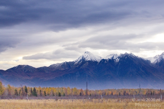 Alaska_landscape_nature_fall_autumn_Usa_Photography_258_Canon_EOS_5D_Mark_IV.JPG