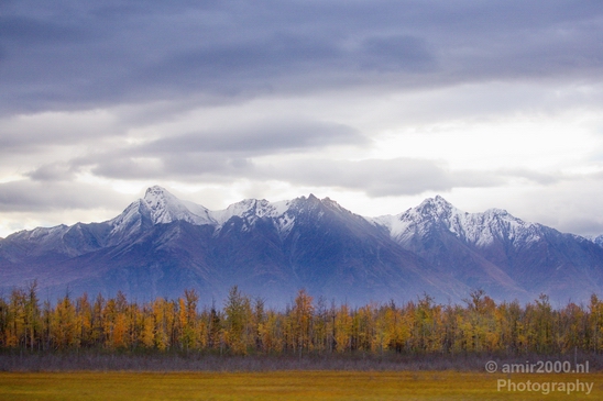 Alaska_landscape_nature_fall_autumn_Usa_Photography_259_Canon_EOS_5D_Mark_IV.JPG