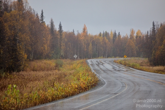 Alaska_landscape_nature_fall_autumn_Usa_Photography_268_Canon_EOS_5D_Mark_IV.JPG