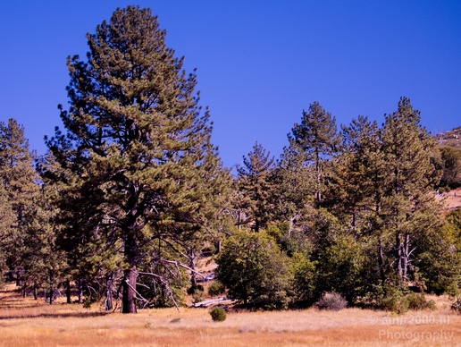 Anza_Borrego_Desert_State_Park_California_landscape_nature_fall_autumn_Photography_Usa_005_Canon_EOS_5D_Mark_IV.JPG