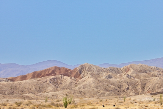 Anza_Borrego_Desert_State_Park_California_landscape_nature_fall_autumn_Usa_Photography_014_Canon_EOS_5D_Mark_IV.JPG