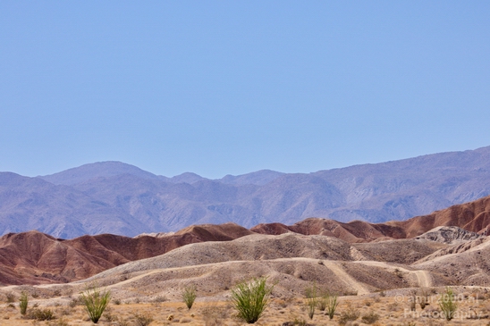 Anza_Borrego_Desert_State_Park_California_landscape_nature_fall_autumn_Usa_Photography_015_Canon_EOS_5D_Mark_IV.JPG