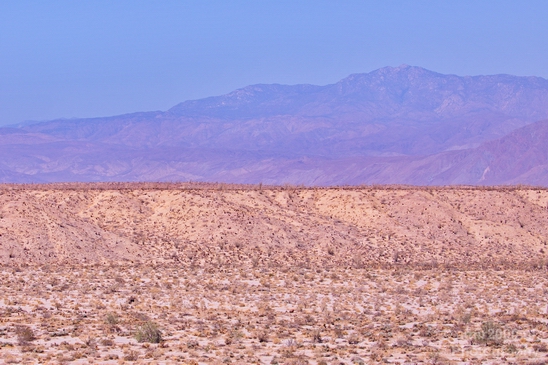 Anza_Borrego_Desert_State_Park_California_landscape_nature_fall_autumn_Usa_Photography_026_Canon_EOS_5D_Mark_IV.JPG