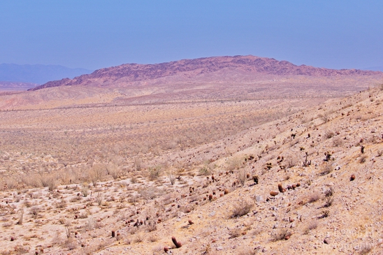 Anza_Borrego_Desert_State_Park_California_landscape_nature_fall_autumn_Usa_Photography_028_Canon_EOS_5D_Mark_IV.JPG