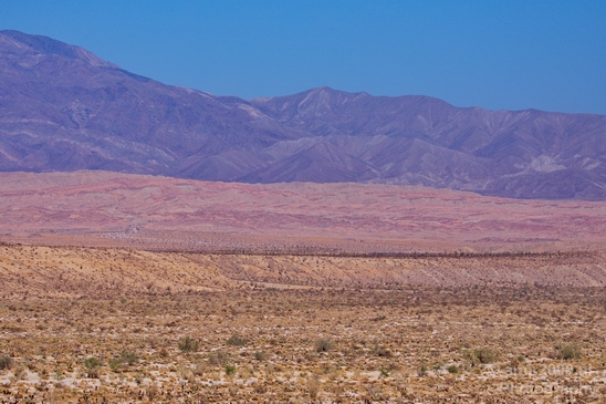 Anza_Borrego_Desert_State_Park_California_landscape_nature_fall_autumn_Usa_Photography_029_Canon_EOS_5D_Mark_IV.JPG