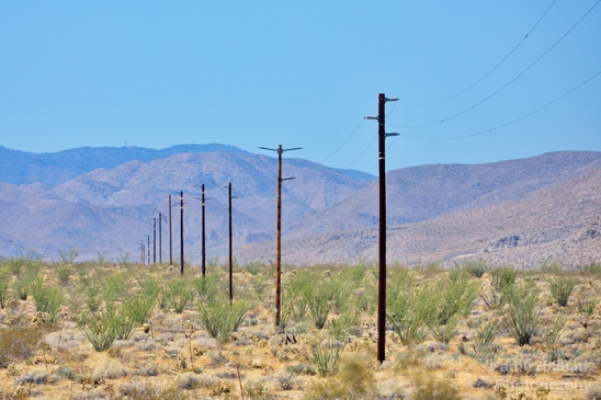 Anza_Borrego_Desert_State_Park_California_landscape_nature_fall_autumn_Usa_Photography_032_Canon_EOS_5D_Mark_IV.JPG