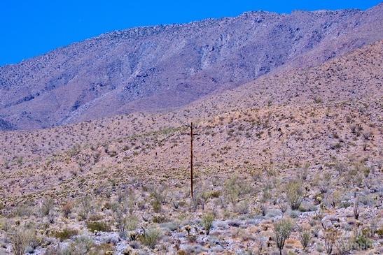 Anza_Borrego_Desert_State_Park_California_landscape_nature_fall_autumn_Usa_Photography_033_Canon_EOS_5D_Mark_IV.JPG