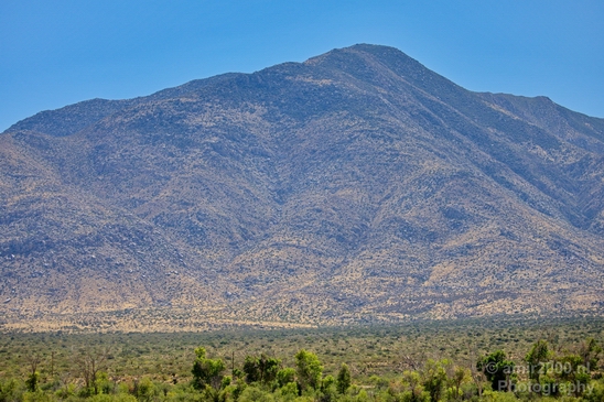 Anza_Borrego_Desert_State_Park_California_landscape_nature_fall_autumn_Usa_Photography_037_Canon_EOS_5D_Mark_IV.JPG