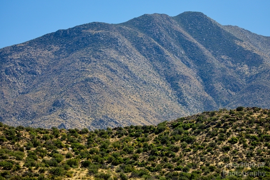 Anza_Borrego_Desert_State_Park_California_landscape_nature_fall_autumn_Usa_Photography_038_Canon_EOS_5D_Mark_IV.JPG