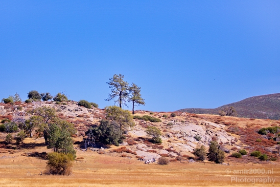 Anza_Borrego_Desert_State_Park_California_landscape_nature_fall_autumn_Usa_Photography_051_Canon_EOS_5D_Mark_IV.JPG
